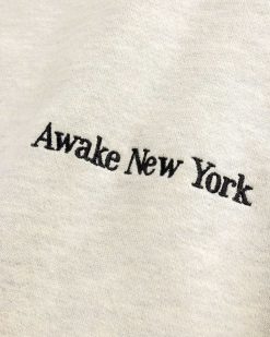 Awake NY Sweat A Capuche Serif Gris | Sueurs