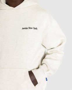 Awake NY Sweat A Capuche Serif Gris | Sueurs