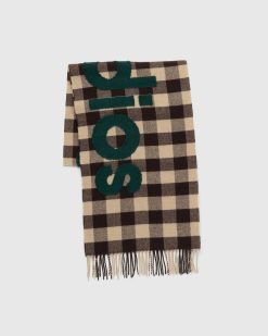 Acne Studios Echarpe A Logo A Carreaux Marron/Vert | Accessoires D'Hiver