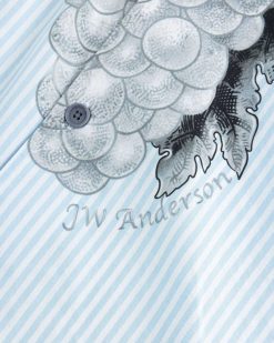 J.W. Anderson Chemise De Vacances Raisin Bleu Clair | Chemises