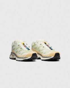 Salomon Xt-6 Aloe Wash/Noisettes/Gris Plume | Baskets