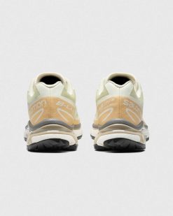 Salomon Xt-6 Aloe Wash/Noisettes/Gris Plume | Baskets