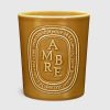 Diptyque Bougie Ambre 600G | Bougies